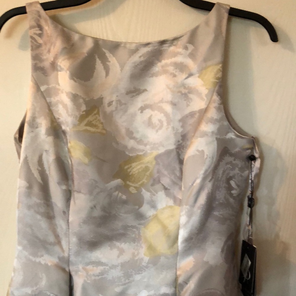 Adrianna Papell Dress